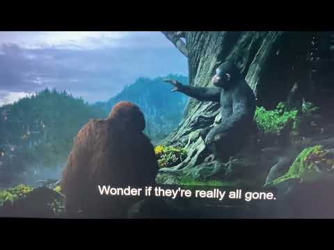 Dawn of the Planet of the Apes (2014) Clip Maurice and Caesar talk