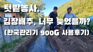 텃밭농사. 김장배추 너무 늦은걸까? 한국관리기 소형관리기 900G 사용후기. 텃밭관리기로 딱.