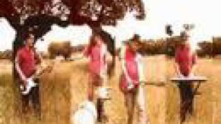 Bailare - Houdini Blues