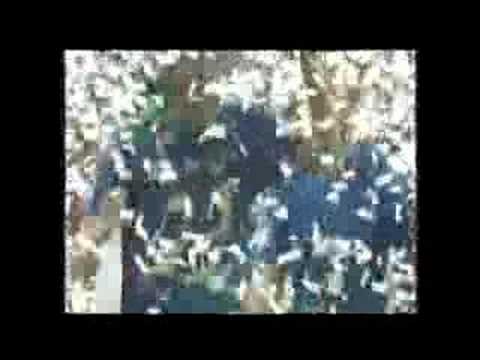 paps'n'skar & gabri ponte - we are the champions