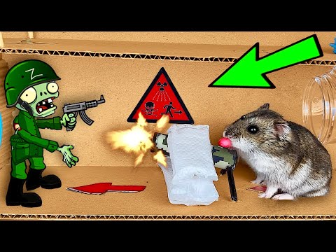 🧟‍♂️🐹 HAMSTER Escapes the Amazing Maze and Traps 😱[OBSTACLE COURSE]😱+ ZOMBIES