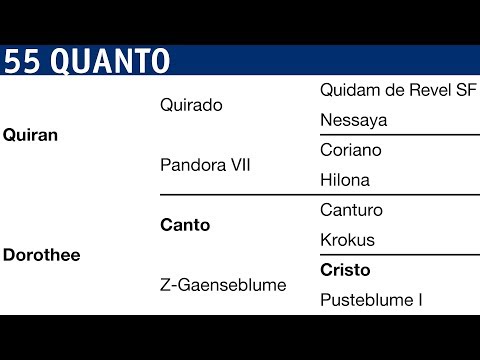 Holsteiner Körung 2018 | Nr. 55 - Quanto