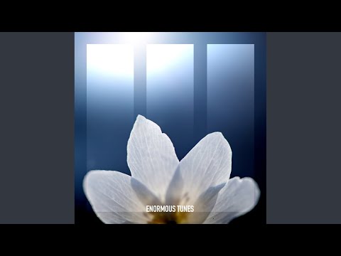 Persistence (Extended Mix)