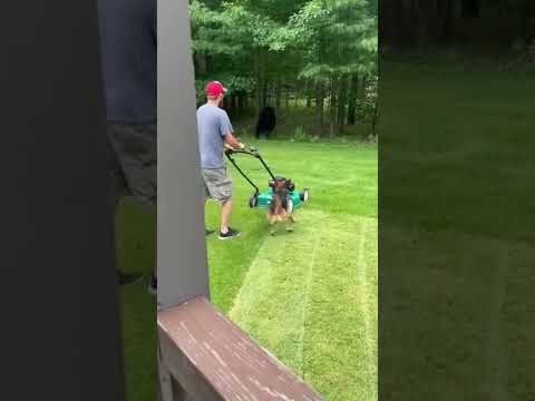 Last second golf save thumbnail