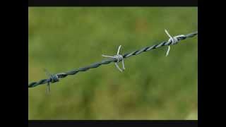 Thorns Think it over.wmv