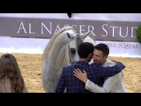 ALEXXANDERR - GOLD CHAMPION Junior Male at All Nations Cup 2017