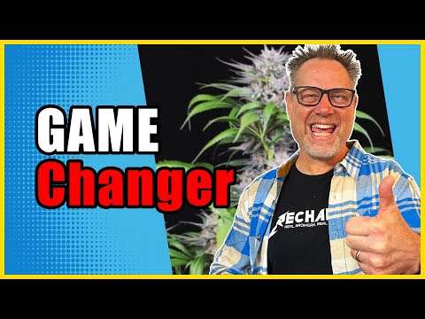 Don't Add Silica to Your Cannabis Grow Until You WATCH THIS