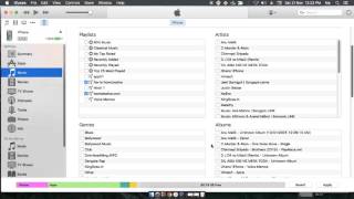 Copy/ Move/ Transfer iTunes playlist to iPhone, iPad, iPod