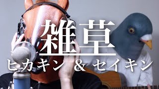 【ウマすぎ注意⚠︎ 】雑草/ヒカキン & セイキン (歌詞付) MV再現 鳥と馬が歌うシリーズ