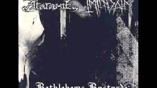 Ataraxie - Der Bärtige Masochist