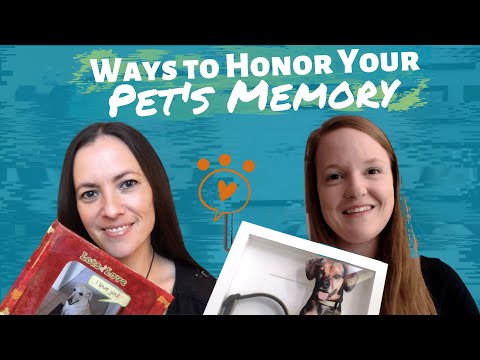 Ways to Honor the Memory of Your Pet