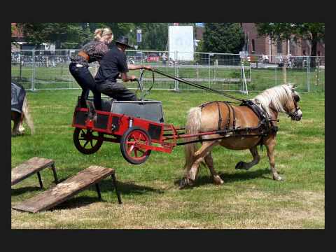 Pinksterfeesten 2010 Bornebroek