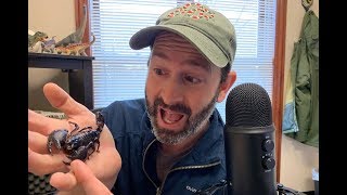 Mario Livestream!