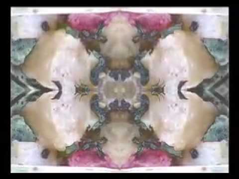 Insectiva Hallucinogenica