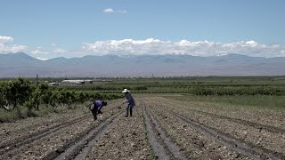 Հուշակերտ գյուղ