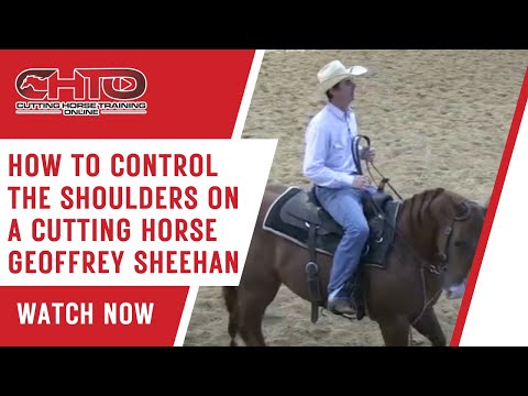 How To Control The Shoulders On A Cutting Horse Geoffrey Sheehan