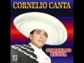 CORNELIO REYNA--Botellitas