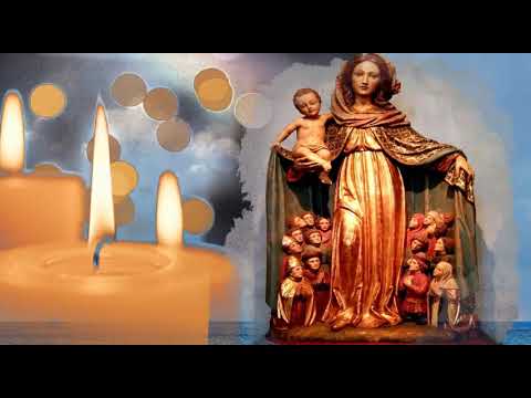 33 SCHRITTE - 1. TAG - 33 Tage mit Maria zu Jesus!