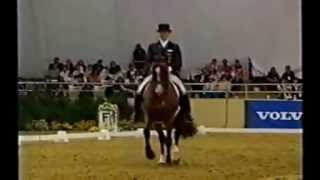 Video of Berna