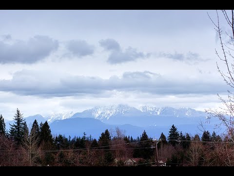 404 - 15388 101 AVE, SURREY, BC by Belle Basco