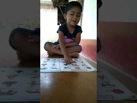 St. Alphonsa and AlphaKidzs Stay-Home Child Videos(3)