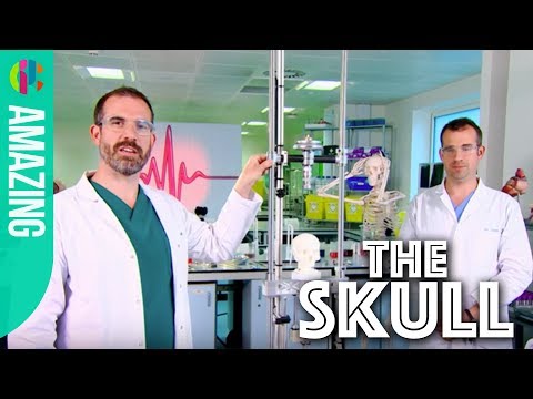 How Strong is Your Skull? | Operation Ouch