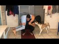 Pernas - Treino em Quarentena #2