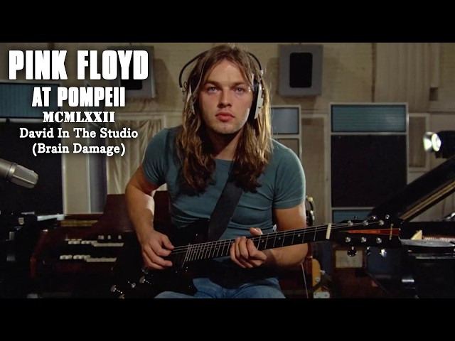 David In The Studio (Brain Damage)