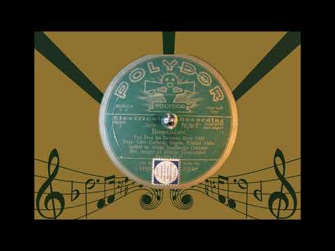 Steinar Jøraandstad - Rosehaven 78 RPM Norway 1930