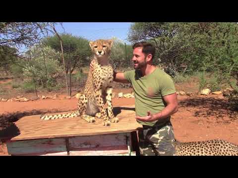 Destination Conservation gets up close and personal with African Wildlife at Na'an ku se