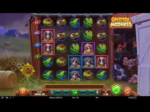 Animal Madness – Video Gameplay
