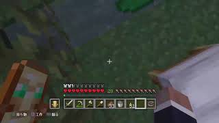 [MINECRAFT配信］平穏にマインクラフト　初見様andコメント大募集［概要欄必読］