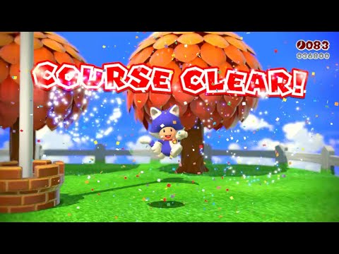 SM3DW (Switch) 10-4 100% Speedrun | Time: 17 (Former WR)