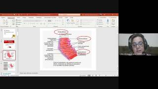 Aspectos biológicos e fisiológicos do envelhecimento