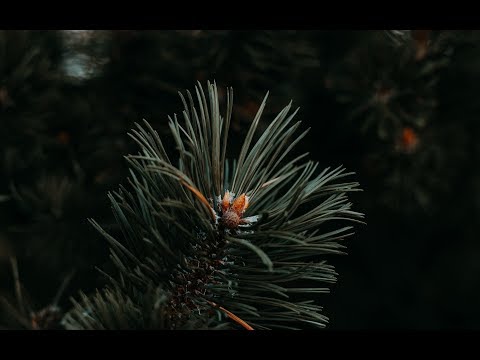 Slow Wave / Emerson Ware / Pete Fraser - Our Time Is Now (Power Pop)