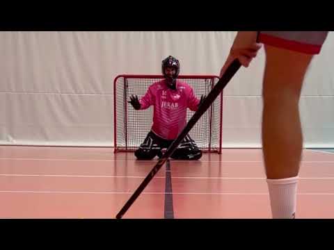 Floorball Goalie Coaching 1.0 (English): Basic Position and Basic technique