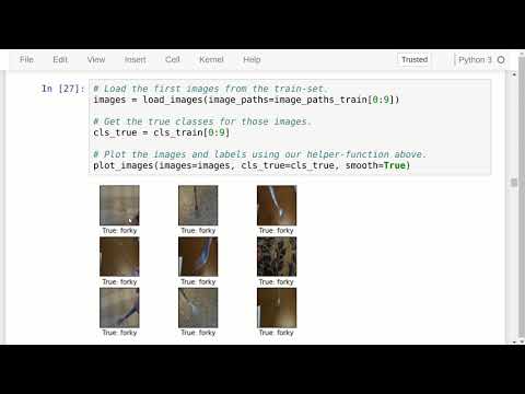 TensorFlow Tutorial #10 Fine-Tuning