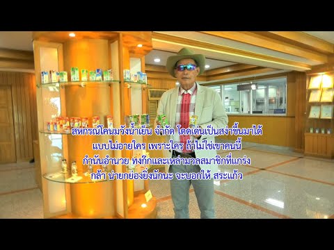 สหกรณ์โคนมวังน้ำเย็น จำกัด