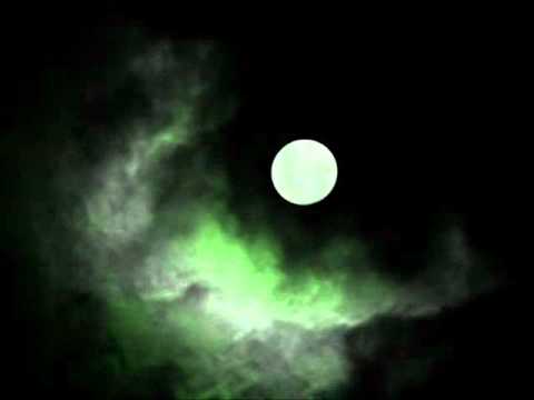 Fred Fortin - Plastrer la Lune