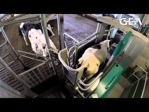 Monobox Anlagenhygiene