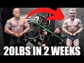 I Lost 20lbs In 2 Weeks & This Is What Happened... | First Gym Session Back