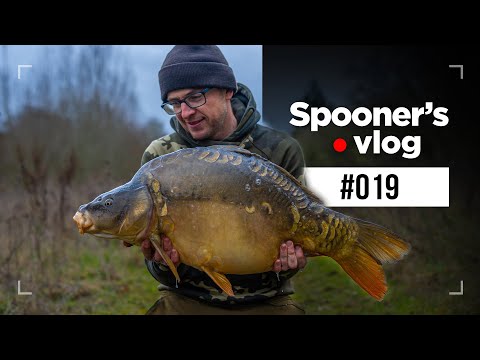 He's gone BACK! - Spooners Vlog #019 - CARP FISHING