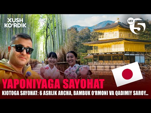 Kiotoga sayohat: 6 asrlik archa, bambuK O‘rmoni va qadimiy saroy… | XUSH KO'RDIK