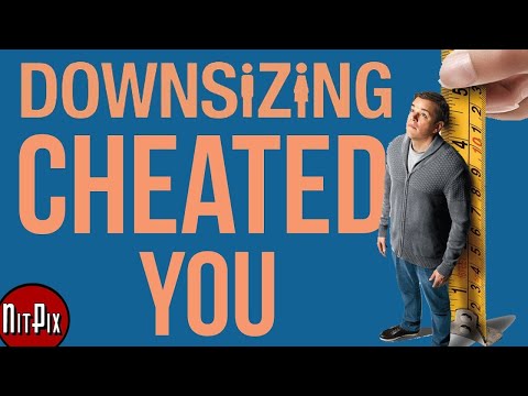 How Downsizing Cheated You - NitPix