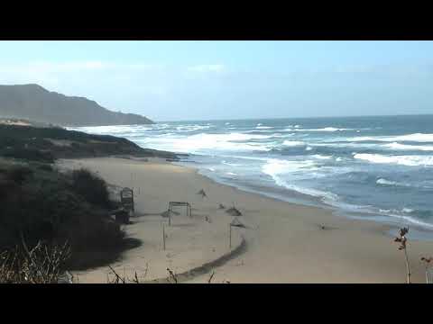 3/3/2019 Spiaggia di Scivu, Sardegna (once were humans), Italia