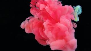 Susumu Yokota - Saku