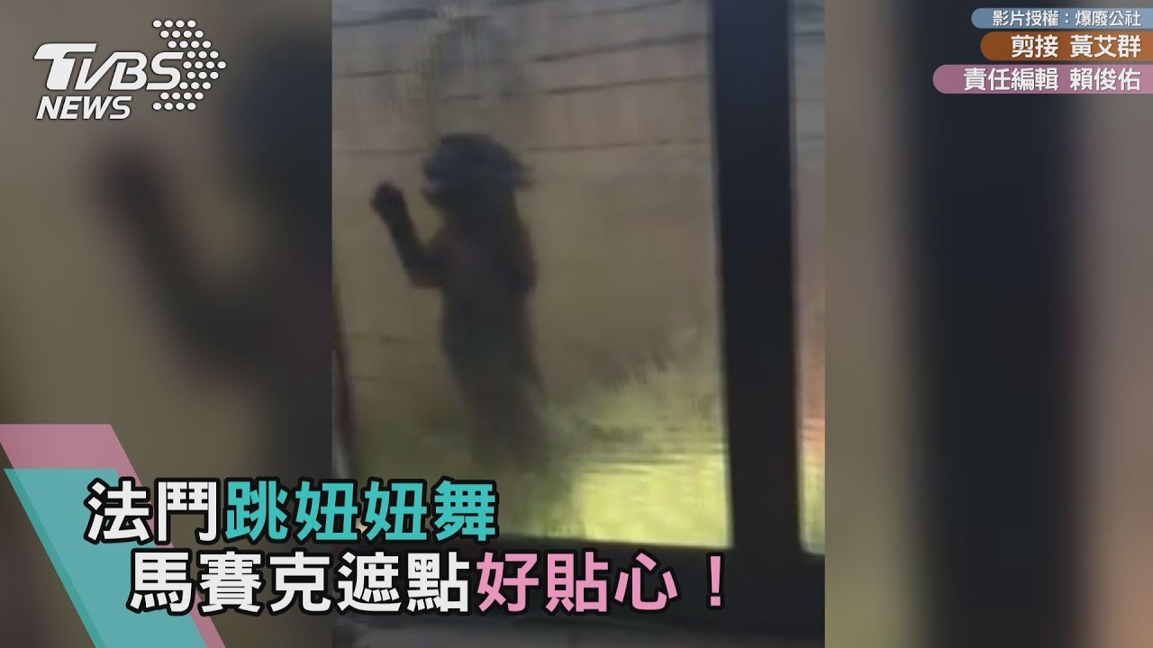 法鬥跳扭扭舞 馬賽克遮點好貼心!