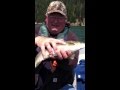 Bald Eagle takes dads fish