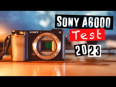 SONY ALPHA 6000 REVIEW | Is the Sony a6000 worth it in 2023?