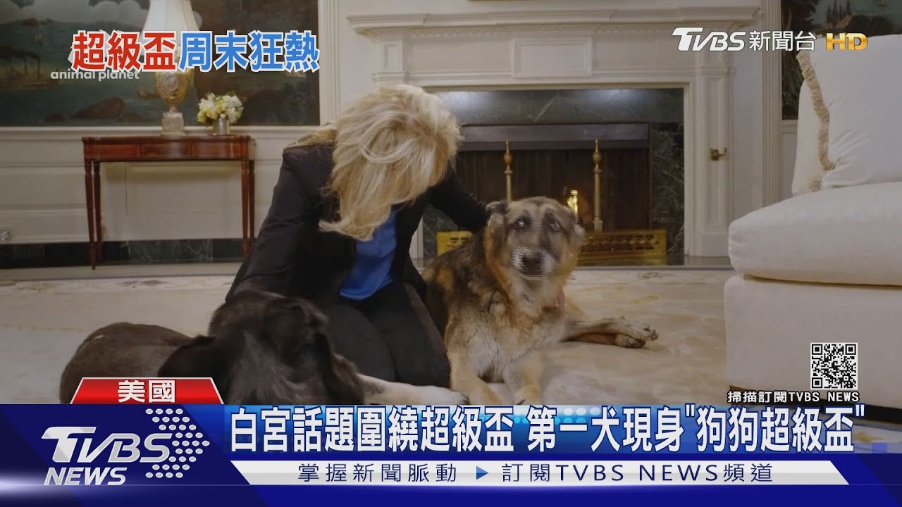 白宮話題圍繞超級盃　第一犬現身「狗狗超級盃」